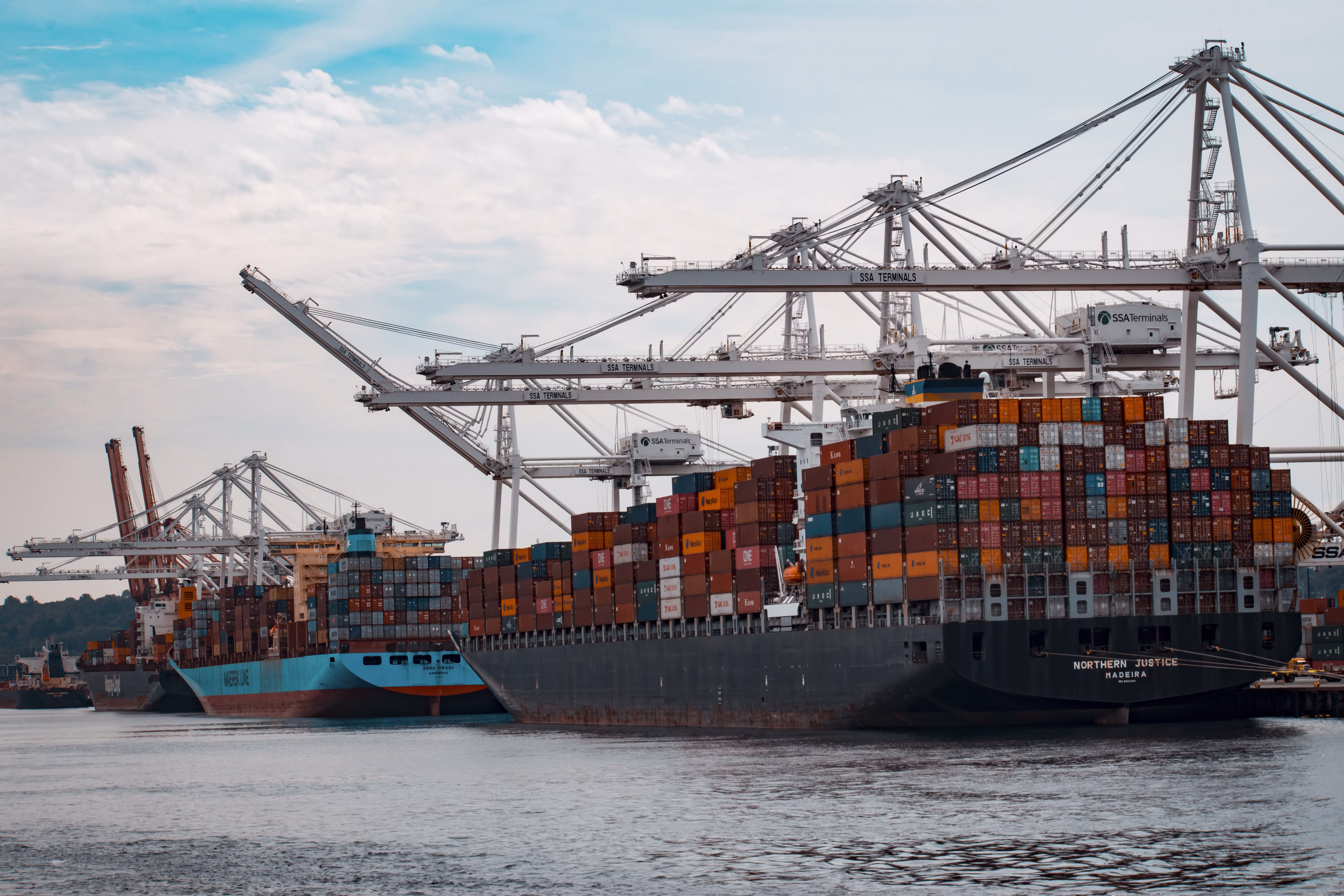 Domina las Importaciones de USA